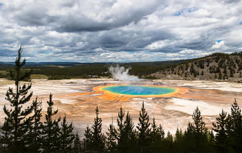 Old Faithful Geyser at Yellowstone National Park