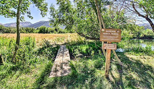 Snowcreek Meadow Preserve in Mammoth Lakes, California