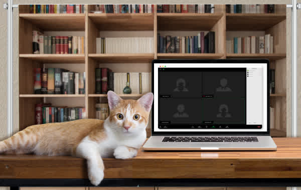 Zoom Haus - Evolve Vacation Rental April Fools Prank Vacation Home