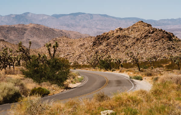 Landscape view of Joshua Tree National Park in Palm Springs, California