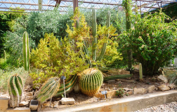 Living Desert Zoo and Gardens in Palm Springs, California