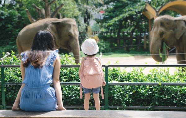 Mother and daughter at Jacksonville Zoo in Florida watching elephants