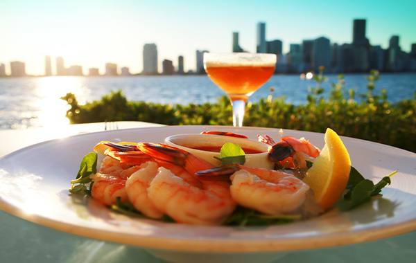 Shrimp appetizer and a martini overlooking the Miami, Florida skyline