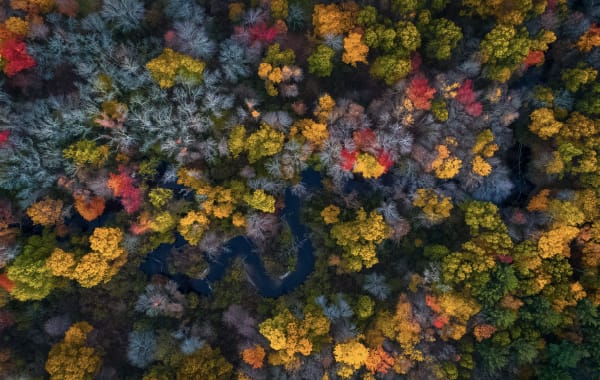 Road in Massachusetts winding through the woods with colorful fall foliage