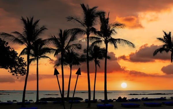 An ocean view at sunset with palm trees silhouetted on a beach on the Kona Coast, a top location for a Hawaii investment property