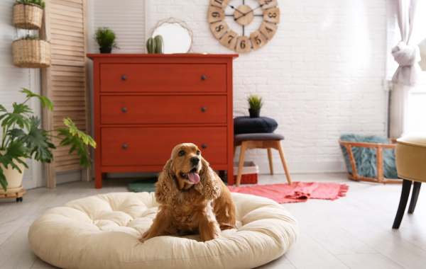 Cocker Spaniel lays on a dog bed in a pet-friendly vacation rental bedroom