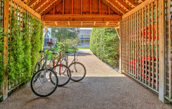 Three bikes sit in a vine-covered shed looking out over a summer day