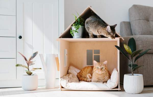 Two short-haired cats lounge in a playhouse on the floor of a sunlit living room with plants