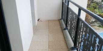 Image 3 - Appartement · Tours (37100) · 3 pièces · 68m²