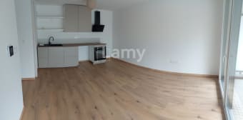 Image 1 - Appartement · Nancy (54000) · 2 pièces · 43m²