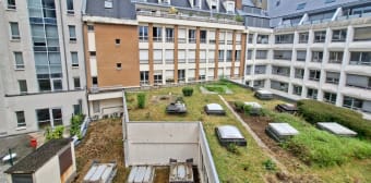 Image 2 - Appartement · Lille (59800) · 1 pièce · 31m²