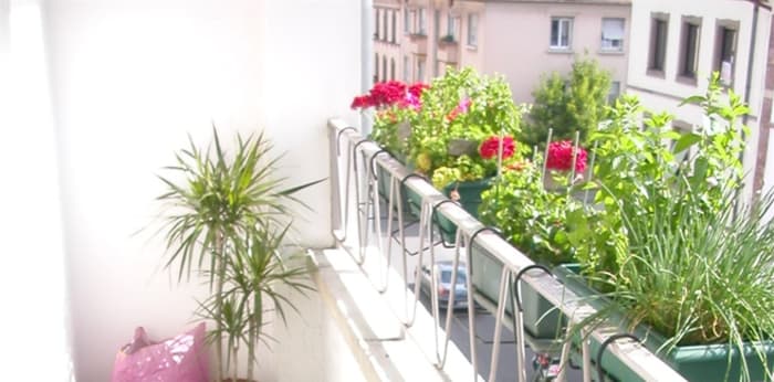 Image 8 sur 14 - Appartement  ·  Location · Colmar (68000) · 2 pièces · 68m²