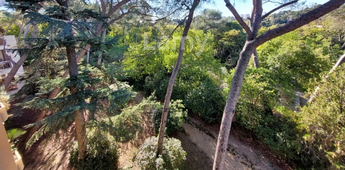 Image 12 sur 14 - Appartement  ·  Location · Nimes (30900) · 1 pièce · 24m²