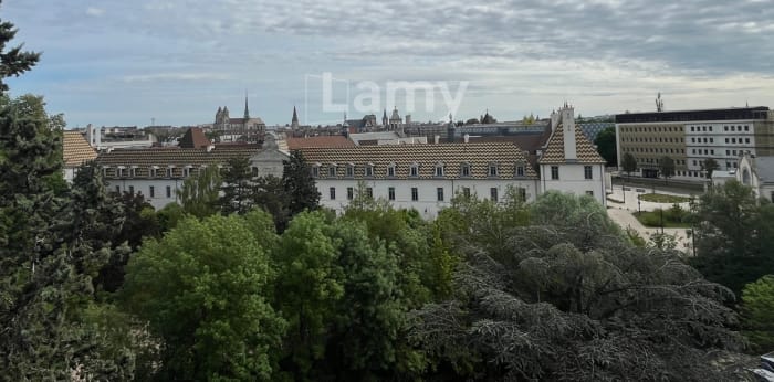 Image 17 sur 25 - Appartement  ·  Location · Dijon (21000) · 4 pièces · 101m²