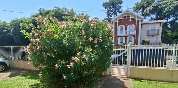 Image 9 sur 10 - Appartement  ·  Location · Arcachon (33120) · 1 pièce · 25m²