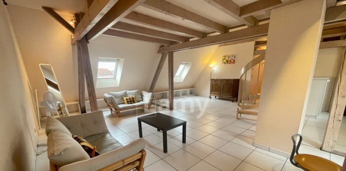 Image 1 sur 6 - Appartement  ·  Location · Strasbourg (67000) · 2 pièces · 55m²