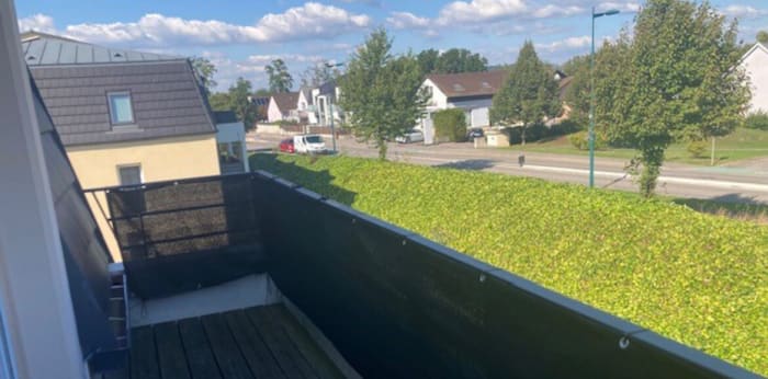 Image 3 sur 8 - Appartement  ·  Location · St Louis (68300) · 2 pièces · 44m²