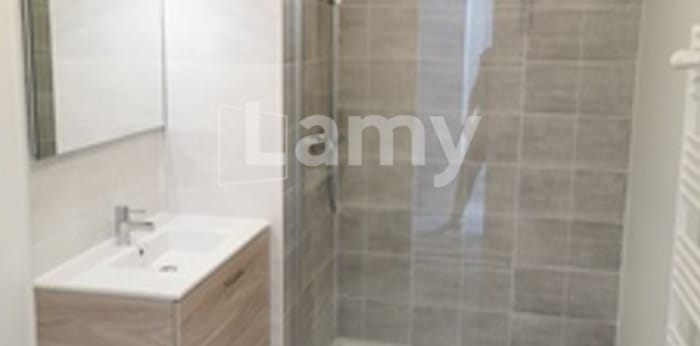 Image 3 sur 5 - Appartement  ·  Location · Lingolsheim (67380) · 2 pièces · 38m²