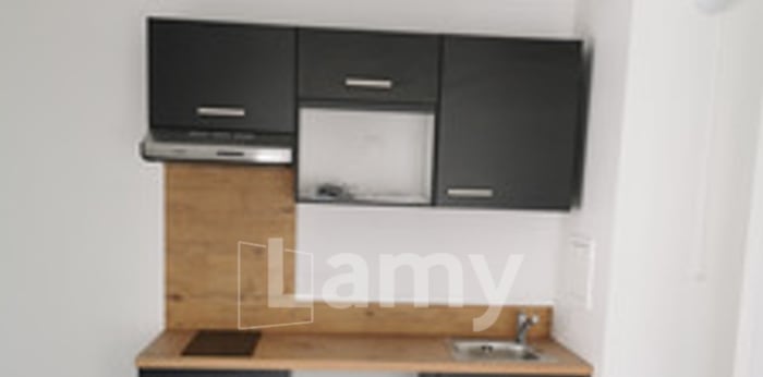 Image 4 sur 5 - Appartement  ·  Location · Lingolsheim (67380) · 2 pièces · 38m²