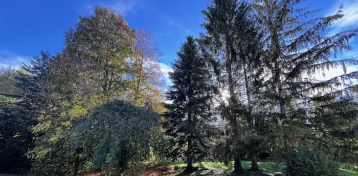 Image 2 sur 10 - Appartement  ·  Location · Besancon (25000) · 1 pièce · 19m²