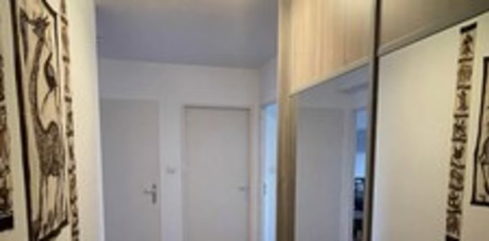 Image 7 sur 7 - Appartement  ·  Location · Colmar (68000) · 2 pièces · 50m²