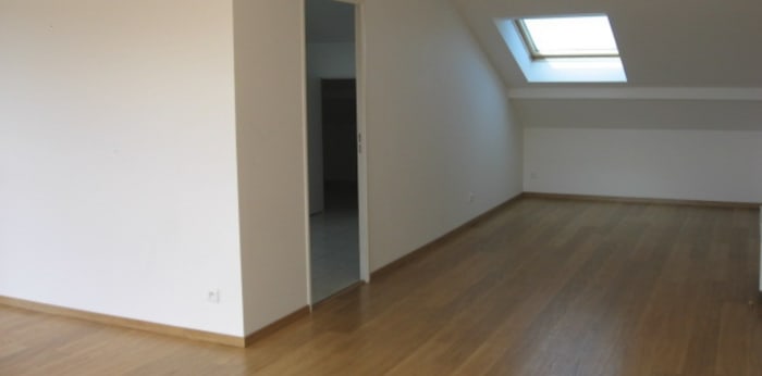 Image 3 sur 7 - Appartement  ·  Location · Ste Gemmes Sur Loire (49130) · 3 pièces · 78m²