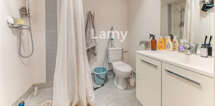 Image 7 sur 11 - Appartement  ·  Vente · Lyon (69007) · 1 pièce · 17m²