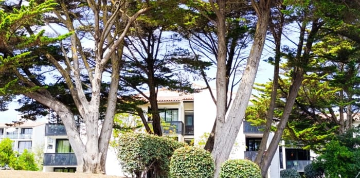 Image 10 sur 11 - Appartement  ·  Vente · Seignosse (40510) · 1 pièce · 18m²