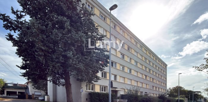 Image 8 sur 8 - Appartement  ·  Vente · Villeurbanne (69100) · 3 pièces · 54m²
