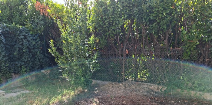 Image 15 sur 18 - Maison/villa  ·  Vente · Chateau Arnoux St Auban (04160) · 4 pièces · 89m²