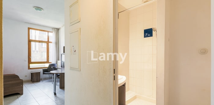 Image 7 sur 13 - Appartement  ·  Vente · Grenoble (38000) · 1 pièce · 18m²