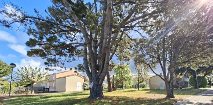 Image 8 sur 9 - Appartement  ·  Vente · Dolus D Oleron (17550) · 2 pièces · 26m²