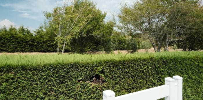 Image 18 sur 23 - Maison/villa  ·  Vente · Marennes Hiers Brouage (17320) · 30m²