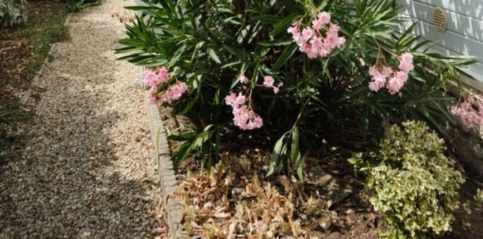 Image 3 sur 23 - Maison/villa  ·  Vente · Marennes Hiers Brouage (17320) · 30m²