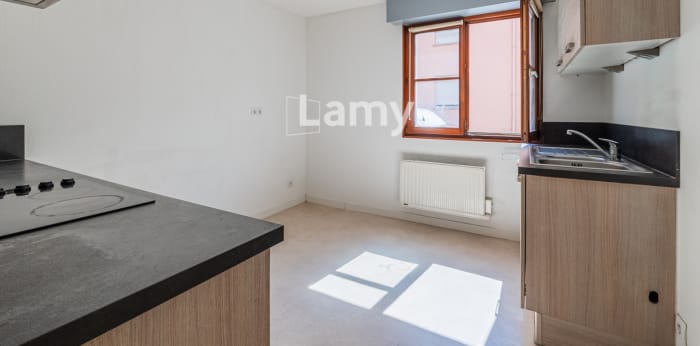 Image 2 sur 11 - Appartement  ·  Vente · Haguenau (67500) · 2 pièces · 54m²