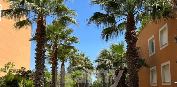 Image 3 sur 13 - Appartement  ·  Vente · Cavalaire Sur Mer (83240) · 3 pièces · 44m²