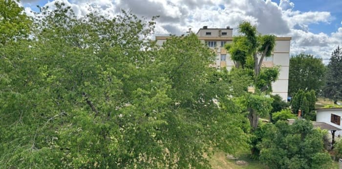 Image 9 sur 9 - Appartement  ·  Vente · Auxerre (89000) · 1 pièce · 27m²