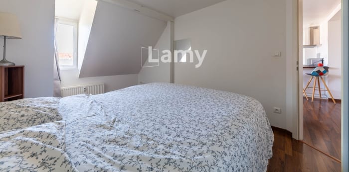Image 3 sur 6 - Appartement  ·  Vente · Strasbourg (67000) · 2 pièces · 51m²