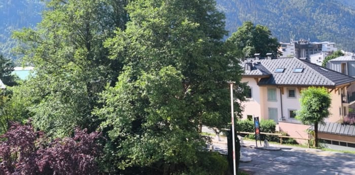Image 8 sur 8 - Appartement  ·  Vente · Chamonix Mont Blanc (74400) · 3 pièces · 54m²
