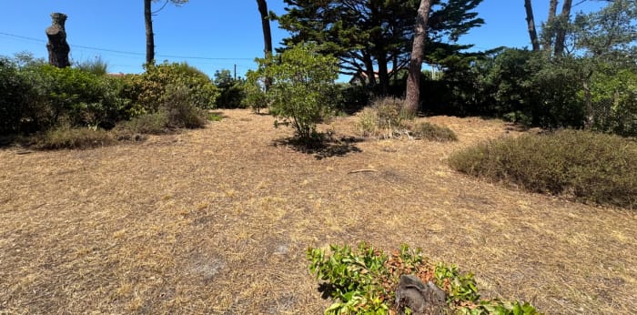 Image 2 sur 3 - Terrain  ·  Vente · Vieux Boucau Les Bains (40480) · 294m²