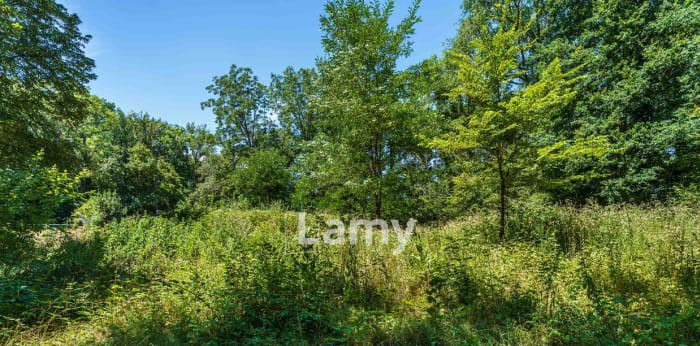 Image 5 sur 5 - Terrain  ·  Vente · Fenay (21600) · 1191m²