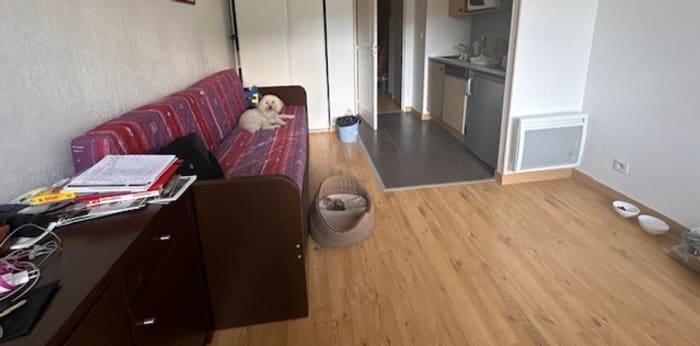 Image 10 sur 11 - Appartement  ·  Vente · Allos (04260) · 45m²