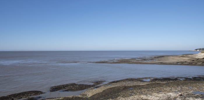 Image 9 sur 9 - Appartement  ·  Vente · Vaux Sur Mer (17640) · 2 pièces · 31m²