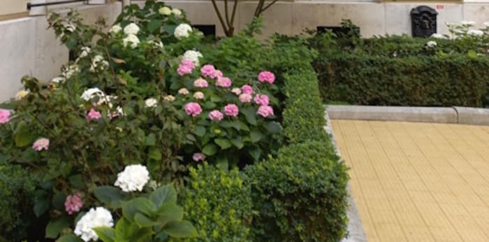Image 4 sur 8 - Appartement  ·  Location · Paris (75017) · 2 pièces · 70m²