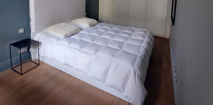 Image 6 sur 8 - Appartement  ·  Location · Paris (75007) · 2 pièces · 49m²