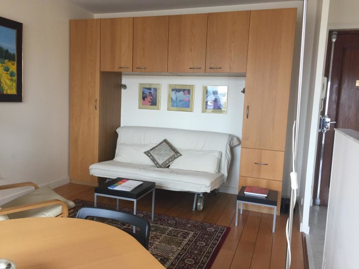 Image 2 sur 9 - Appartement  ·  Location · Lyon (69003) · 1 pièce · 30m²