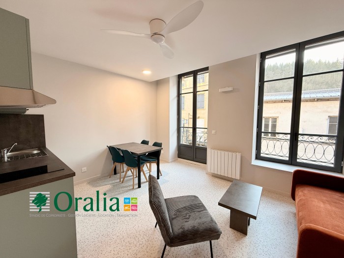 Image 3 sur 10 - Appartement  ·  Location · Tarare (69170) · 1 pièce · 26m²
