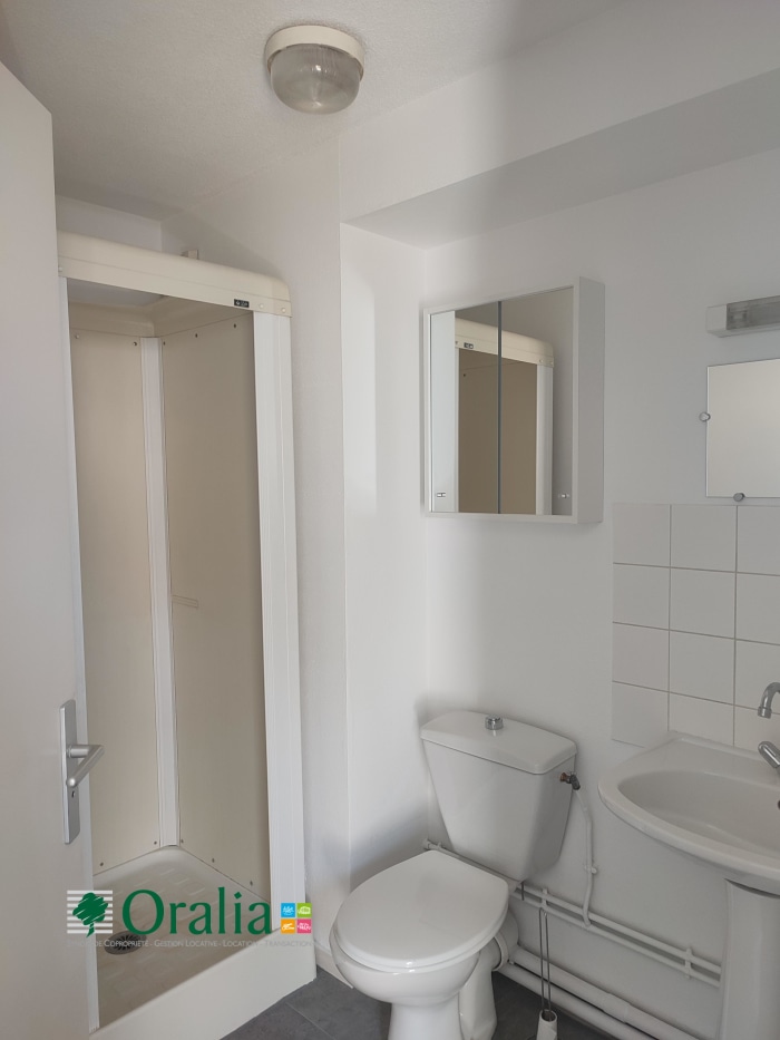 Image 5 sur 6 - Appartement  ·  Location · Dijon (21000) · 1 pièce · 19m²