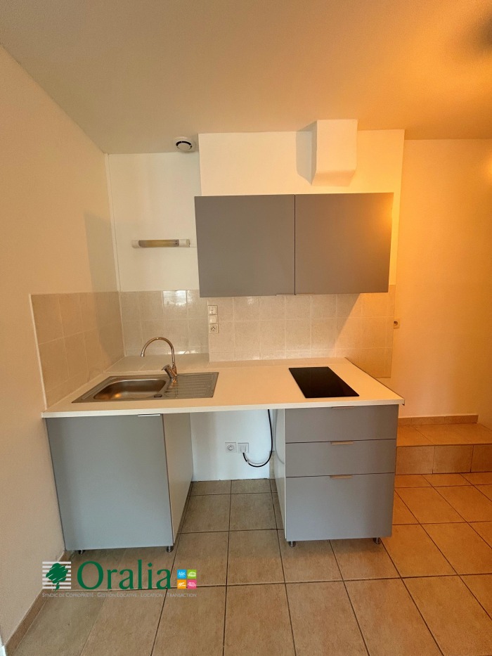 Image 3 sur 6 - Appartement  ·  Location · Lyon (69006) · 1 pièce · 28m²