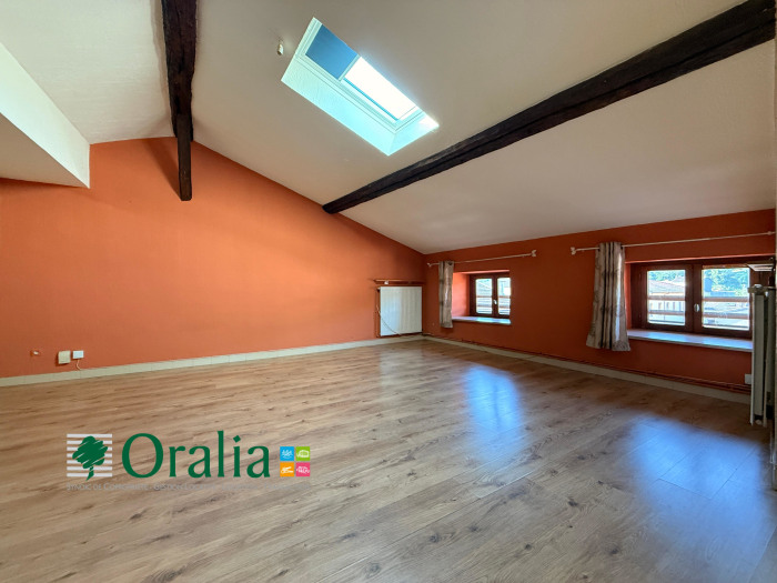 Image 1 sur 1 - Appartement  ·  Location · Tarare (69170) · 4 pièces · 77m²